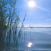 Balaton